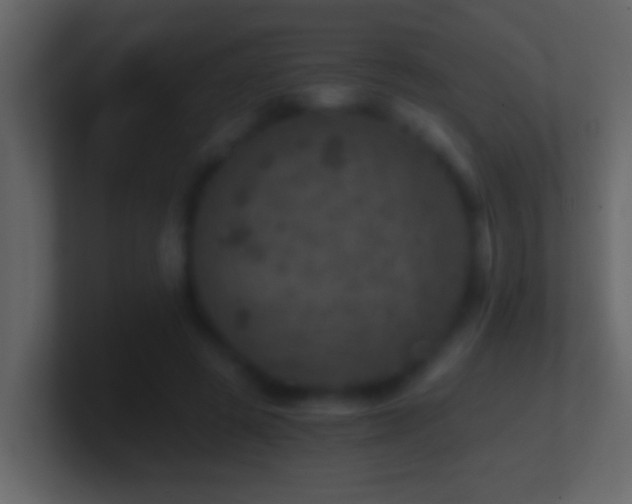 X0000101440545200807071404