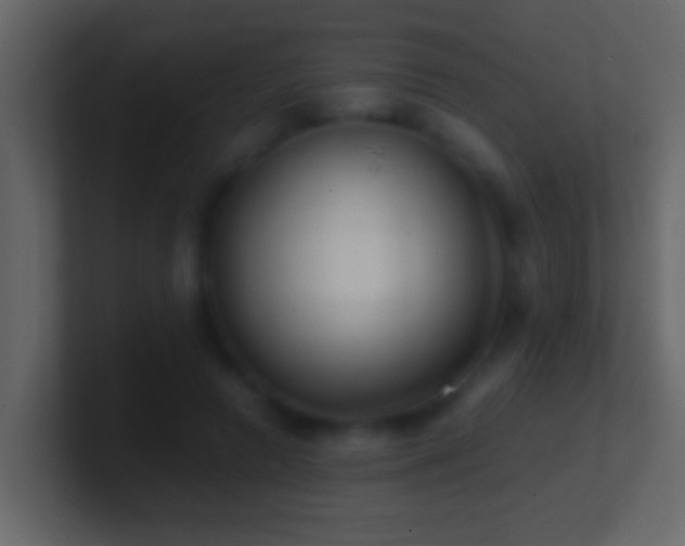 X0000101440546200807071404