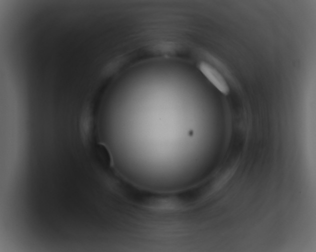 X0000101440548200807071404