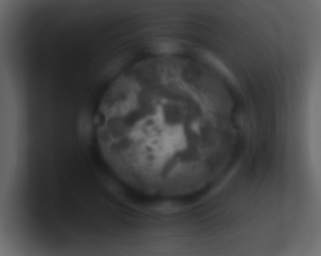 X0000101440549200807071404