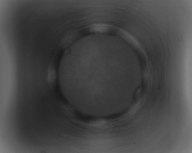 X0000101440551200807071405