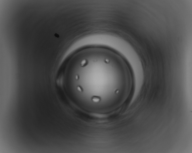 X0000101440552200807071405