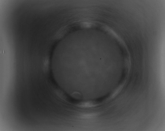 X0000101440557200807071405