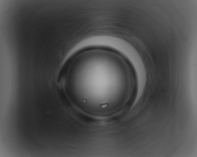 X0000101440558200807071405