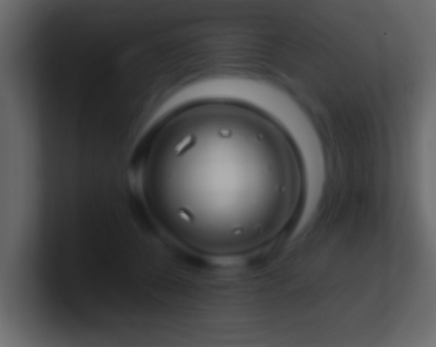 X0000101440560200807071405