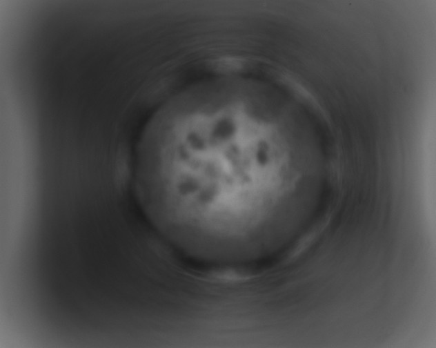 X0000101440561200807071405