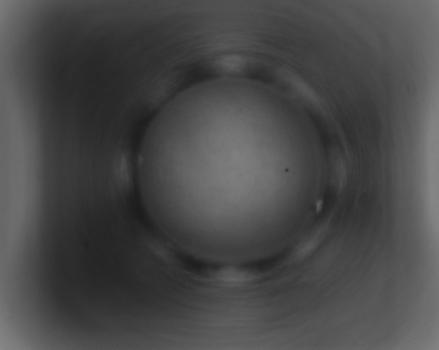 X0000101440562200807071405