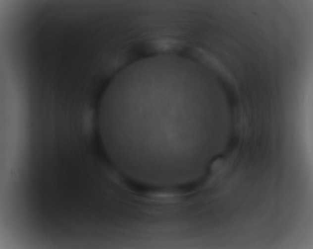 X0000101440563200807071405