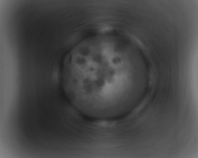 X0000101440565200807071405