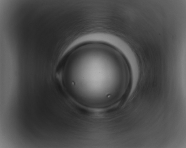 X0000101440566200807071405