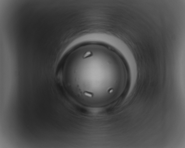 X0000101440568200807071405