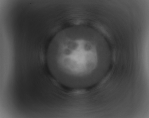 X0000101440569200807071405