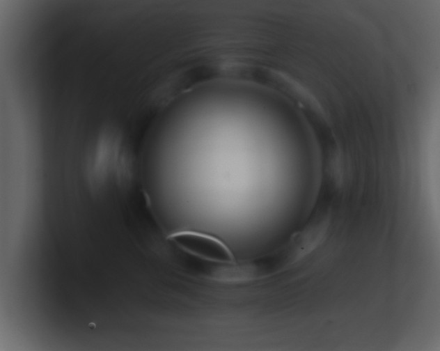 X0000101440571200807071405