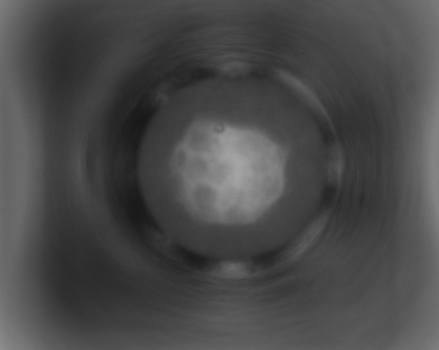 X0000101440573200807071405