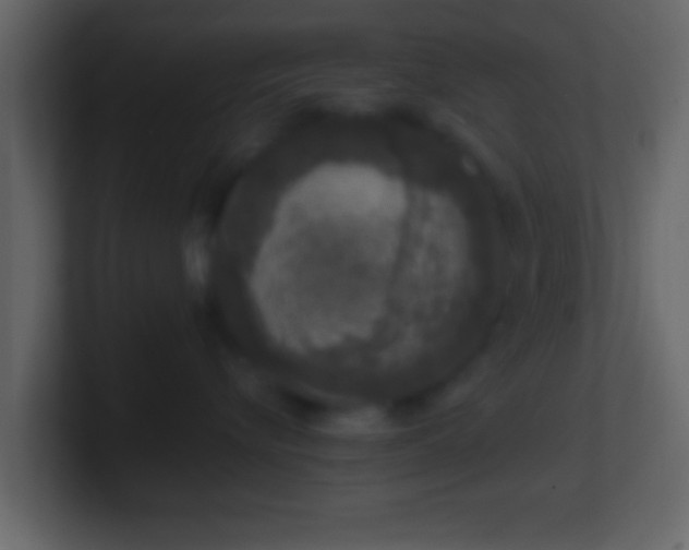 X0000101440576200807071405