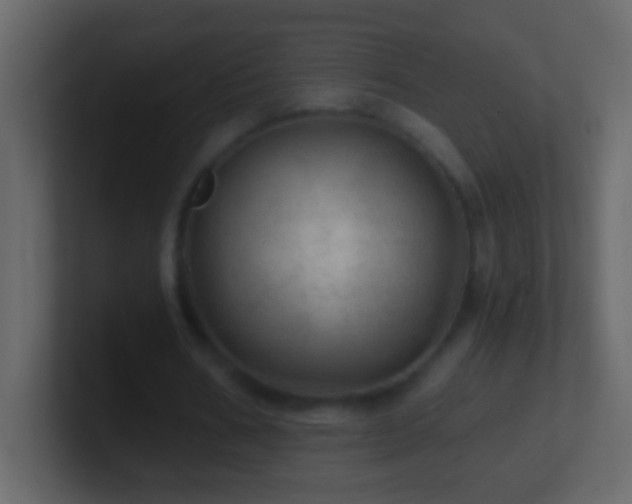 X0000101440578200807071404