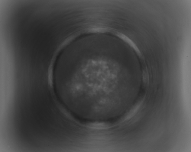 X0000101440581200807071404