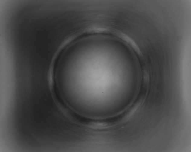 X0000101440582200807071404