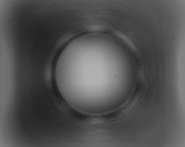 X0000101440583200807071404