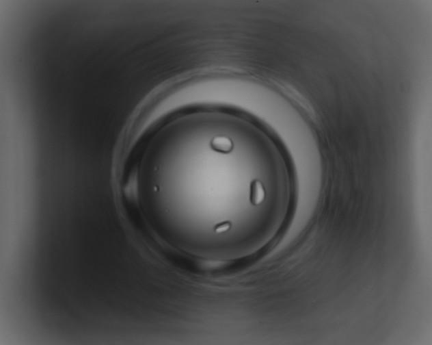 X0000101440584200807071404