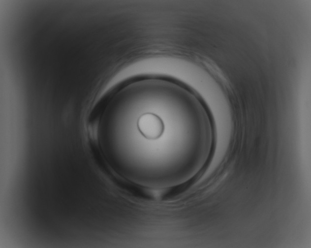 X0000101440585200807071404