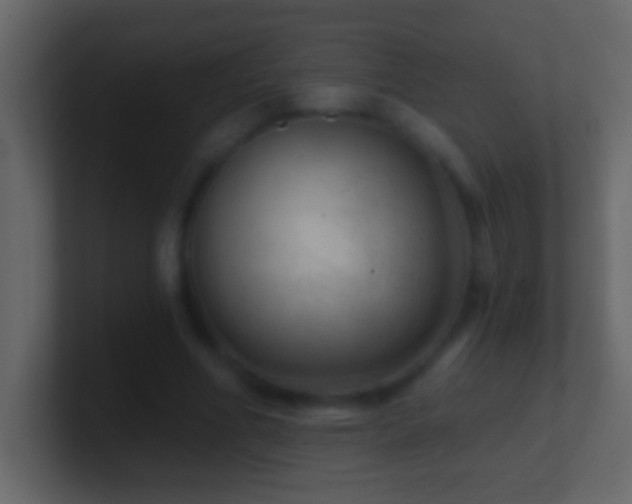 X0000101440586200807071404