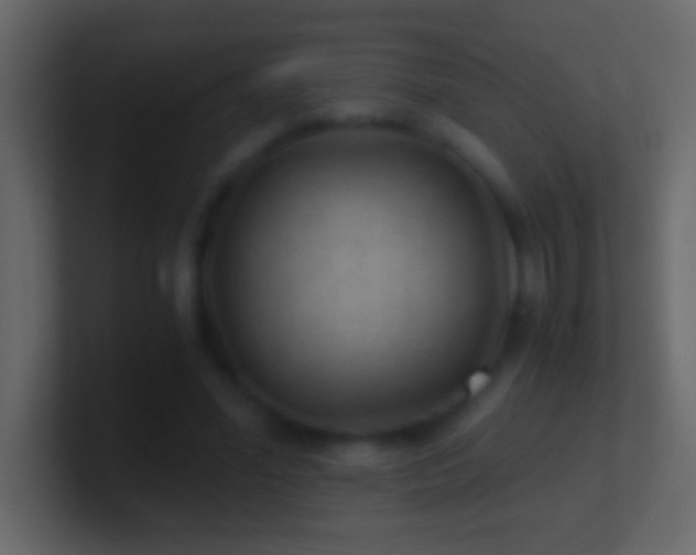 X0000101440588200807071404