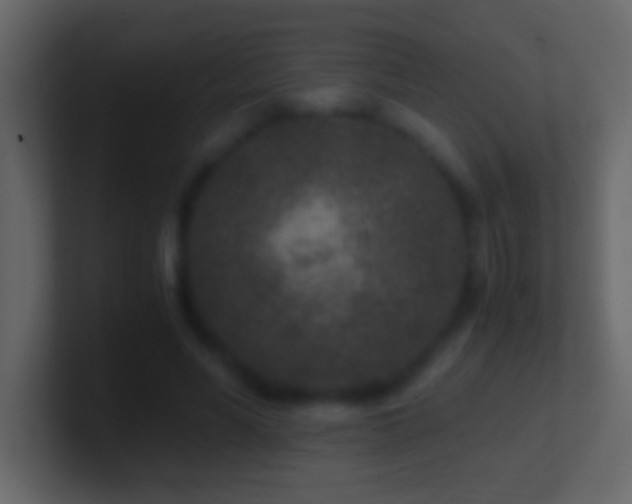 X0000101440590200807071404