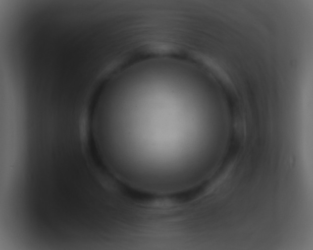 X0000101440591200807071404