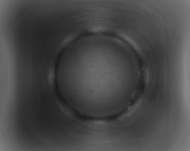 X0000101440592200807071404