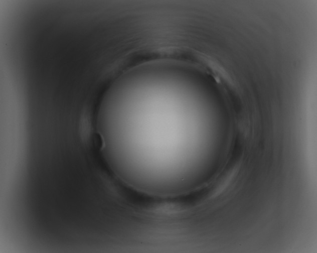 X0000101440593200807071404