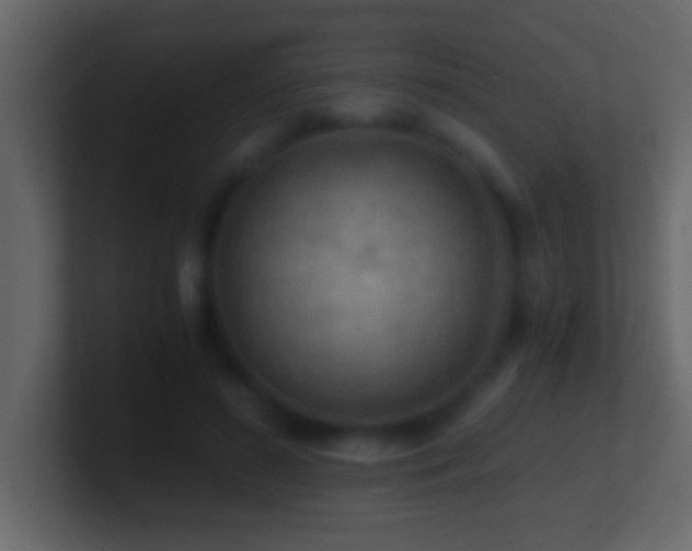 X0000101440596200807071404