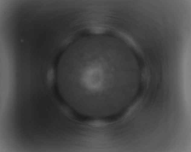 X0000101440598200807071404