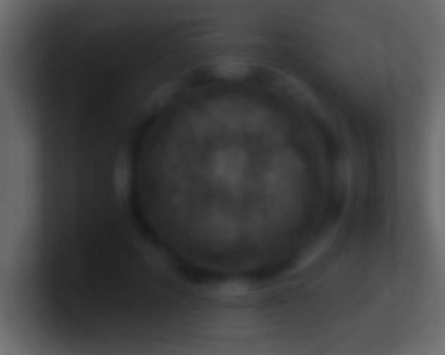 X0000101440600200807071404