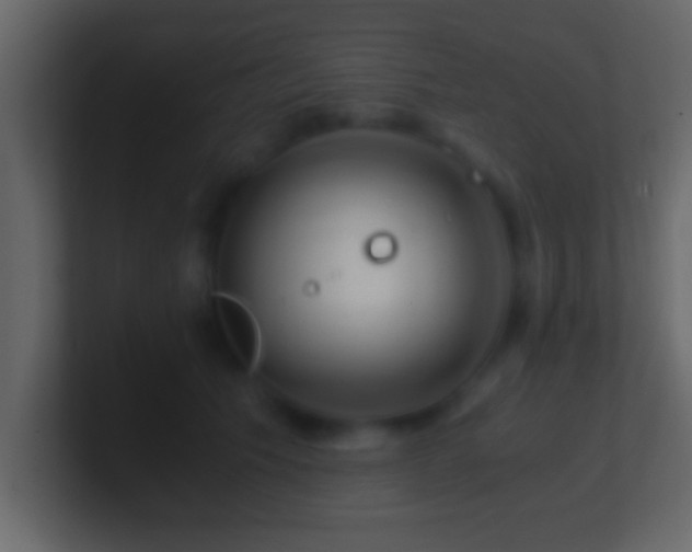 X0000101440609200807071404