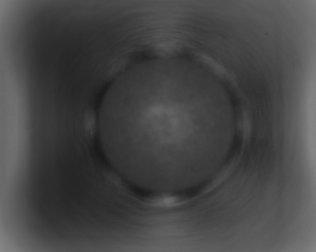 X0000101440610200807071404