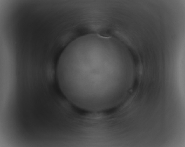 X0000101440615200807071404