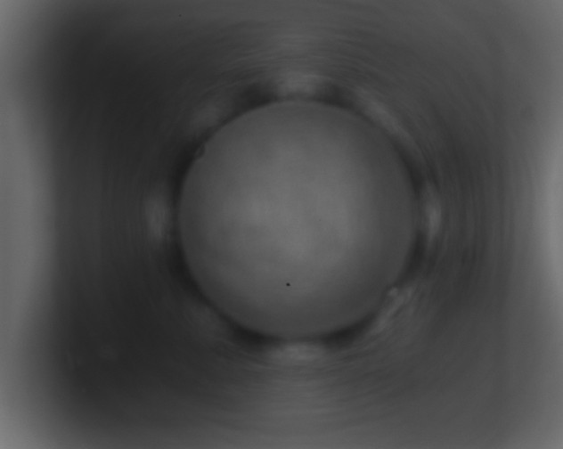 X0000101440619200807071404