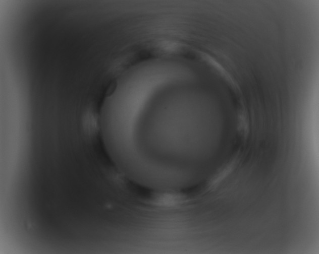 X0000101440621200807071404