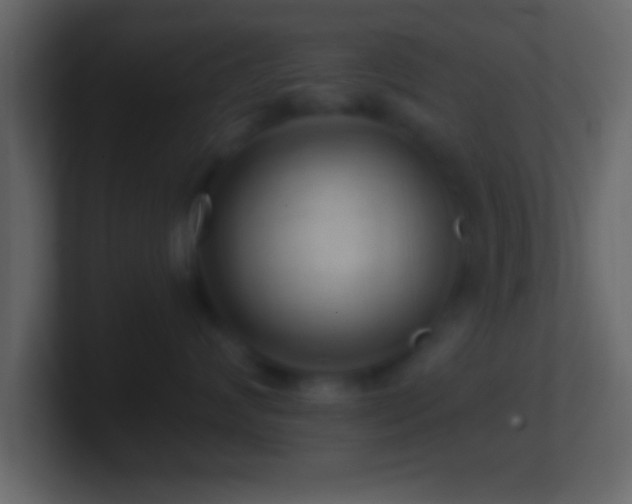 X0000101440624200807071404