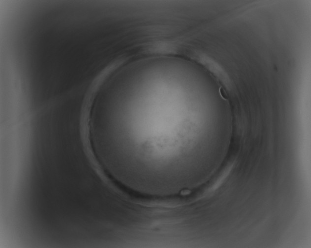 X0000101440625200807071403