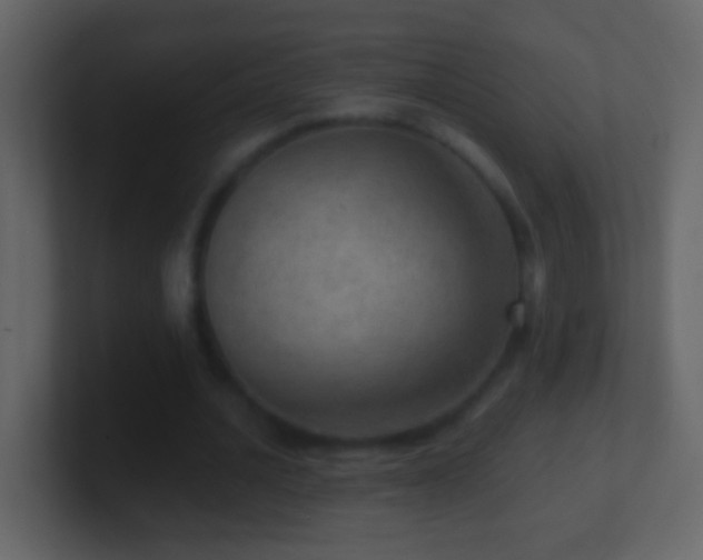 X0000101440628200807071403