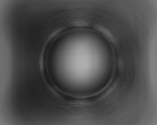 X0000101440629200807071403