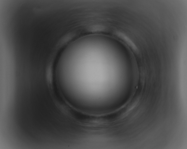 X0000101440631200807071403