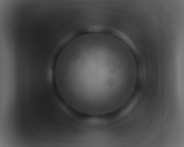 X0000101440633200807071403