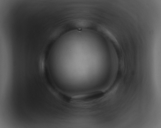 X0000101440637200807071403