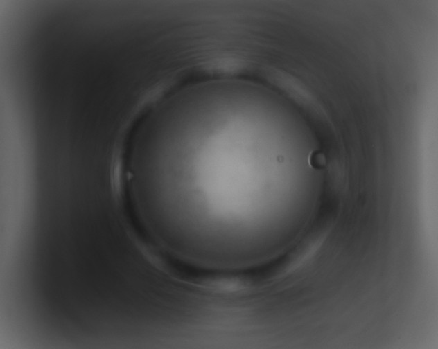 X0000101440638200807071403