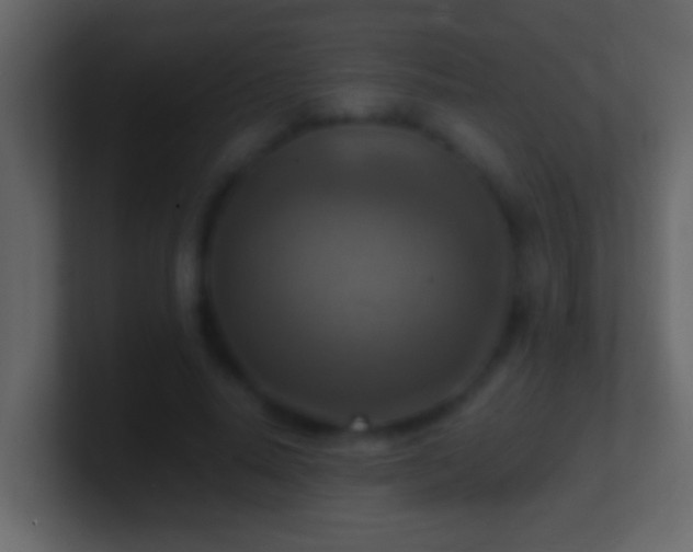 X0000101440640200807071403