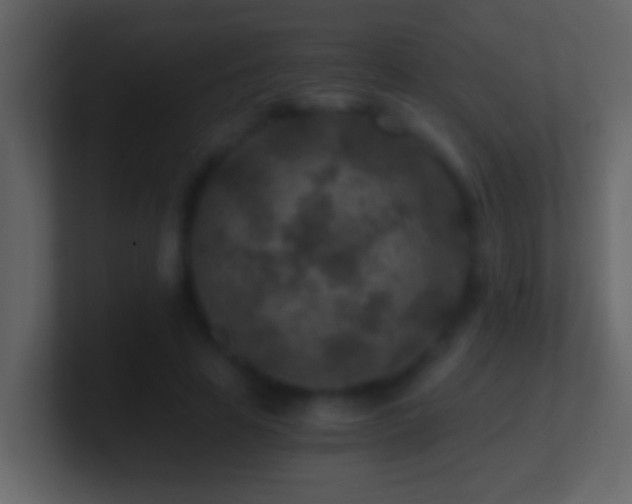 X0000101440641200807071403