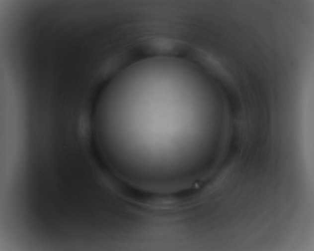 X0000101440642200807071403